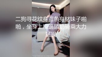 二狗寻花纹身苗条身材妹子啪啪，坐身上摸逼舔奶骑乘大力猛操