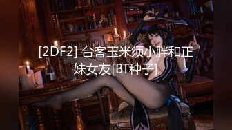 [2DF2] 台客玉米须小胖和正妹女友[BT种子]