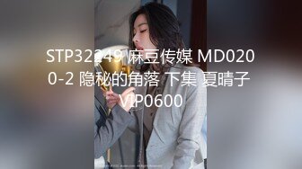 STP32249 麻豆传媒 MD0200-2 隐秘的角落 下集 夏晴子 VIP0600