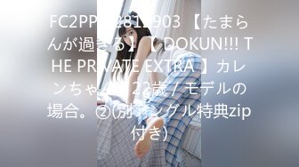 FC2PPV 2812903 【たまらんが過ぎる】【 DOKUN!!! THE PRIVATE EXTRA 】カレンちゃん / 22歳 / モデルの場合。②(別アングル特典zip付き)