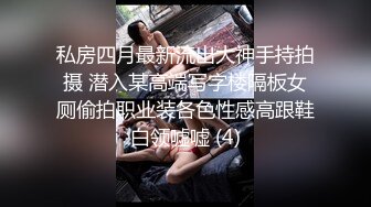 私房四月最新流出大神手持拍摄 潜入某高端写字楼隔板女厕偷拍职业装各色性感高跟鞋白领嘘嘘 (4)