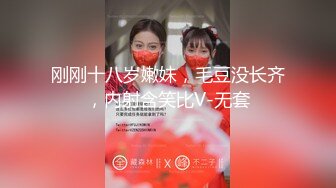 河豚抚子写真图包4套