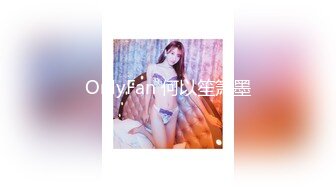 OnlyFan 何以笙箫墨