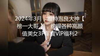 2024年3月，推特泡良大神【榜一大哥 】，约操各种高颜值美女3P车震VIP福利2