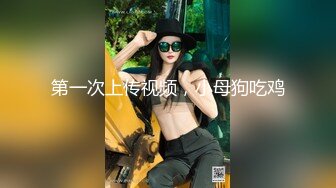 气质骚妹露脸户外激情 开档丝袜车内车外就是骚