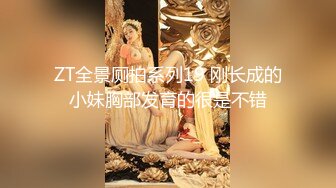 ZT全景厕拍系列19 刚长成的小妹胸部发育的很是不错