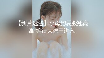 猫耳母狗，全程完美露脸对白淫荡打桩后入内射（此女简芥可约）