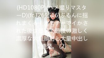 星哥--星哥的美妞制服胸罩背带再度来袭--