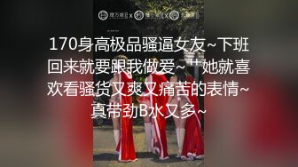 做夫妻情侣狗