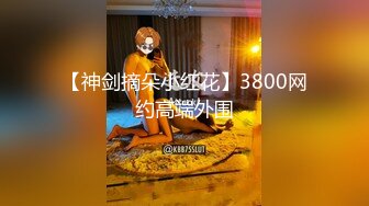 H004《我的嫂子是妓女》漂亮嫂子无法忘 嫖娼意外从天降 新人女优 韩梦嫣