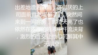 STP31307 国产AV 星空无限传媒 XK8165 性瘾骚女房车大战交警 晨晨