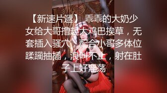 两老哥KTV点了两个妹子，一人一个揉捏奶子唱唱歌，沙发上同时开操