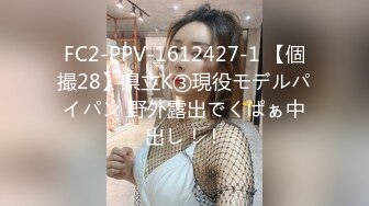 FC2-PPV-1612427-1 【個撮28】県立K③現役モデルパイパン 野外露出でくぱぁ中出し！！