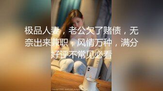 MDX-0238-1时间停止器之痴女空姐的逆袭-寻小小