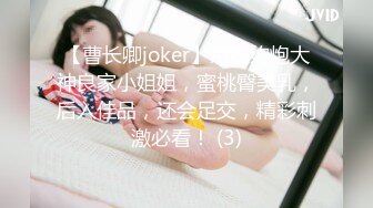 【曹长卿joker】京城约炮大神良家小姐姐，蜜桃臀美乳，后入佳品，还会足交，精彩刺激必看！ (3)