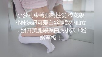 麻豆传媒 MD-190-3 我是苏畅我回来了 酒后蜜屄渴望肉棒的抽插