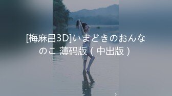 [梅麻呂3D]いまどきのおんなのこ 薄码版（中出版）