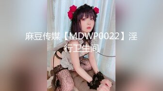 麻豆传媒【MDWP0022】淫行卫生间