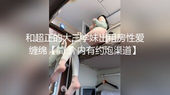 御萝双修金融圈小母狗▌皮蛋酱▌我的绝美模特女友