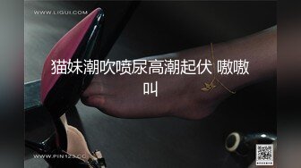  第一女探花回归_户外勾搭车震啪啪，极品女神约操粉丝野战车震