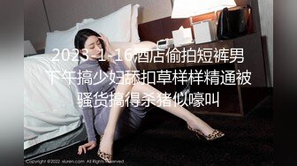 酒店的骚老婆，打飞机不过瘾，女上位做起来，有对白