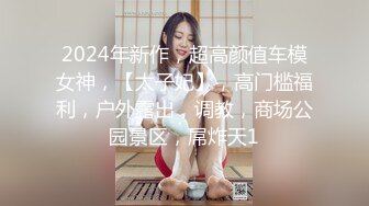 2024年新作，超高颜值车模女神，【太子妃】，高门槛福利，户外露出，调教，商场公园景区，屌炸天1