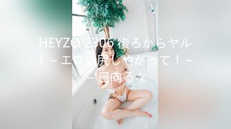 HEYZO 2306 後ろからヤル！～エロい尻しやがって！～ – 日向るな