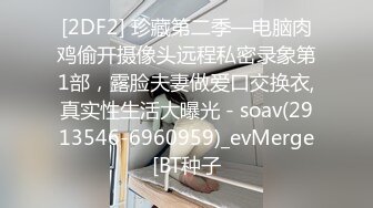 ★☆《极品女神订阅私拍》★☆万人求档顶级网红治愈系清纯椰奶童颜巨乳【赤木青子】露脸私拍，奶子屁股私处堪称无敌 (2)