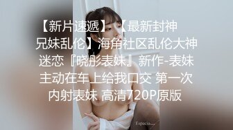 MD-0336爆乳候选人政见发表会