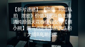 Al&mdash;郑真率与老师的激情