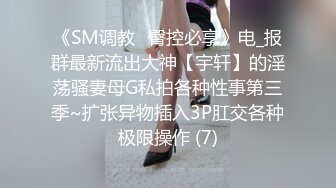 《SM调教✅臀控必享》电_报群最新流出大神【宇轩】的淫荡骚妻母G私拍各种性事第三季~扩张异物插入3P肛交各种极限操作 (7)