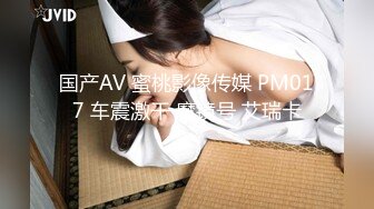 国产AV 蜜桃影像传媒 PM017 车震激干 魔镜号 艾瑞卡