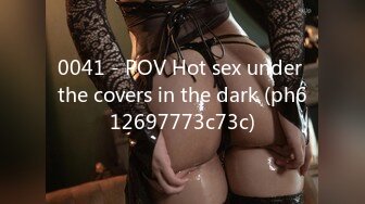 0041 - POV Hot sex under the covers in the dark (ph612697773c73c)