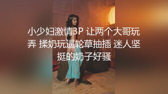 小少妇激情3P 让两个大哥玩弄 揉奶玩逼轮草抽插 迷人坚挺的奶子好骚