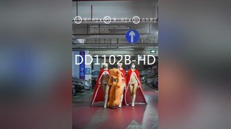 DD1102B-HD