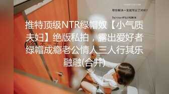 推特顶级NTR绿帽奴【小气质夫妇】绝版私拍，露出爱好者绿帽成瘾老公情人三人行其乐融融(合并)