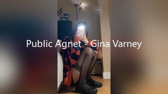 Public Agnet - Gina Varney