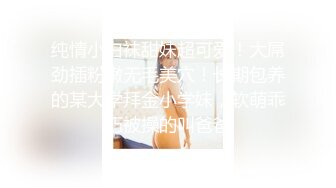 天美传媒TMW023二次元老婆现身