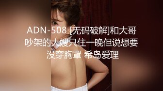 ADN-508 [无码破解]和大哥吵架的大嫂只住一晚但说想要 没穿胸罩 希岛爱理