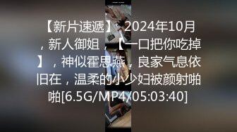 【新片速遞】  2024年10月，新人御姐，【一口把你吃掉】，神似霍思燕，良家气息依旧在，温柔的小少妇被颜射啪啪[6.5G/MP4/05:03:40]