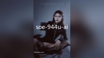 soe-944u-ai