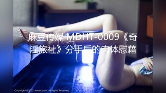 麻豆传媒 MDHT-0009《奇淫旅社》分手后的肉体慰藉