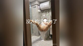 [无水印][AI破解]PRED-483 美脚CA 肉便器的调教航班白峰ミウ